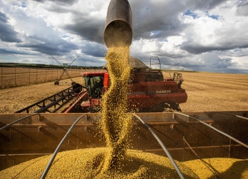 Conab anuncia que produção de grãos no Brasil pode chegar a 269,3 milhões de toneladas nesta safra