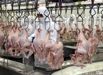 China diz que asas de frango exportadas do Brasil estão contaminadas pelo coronavírus