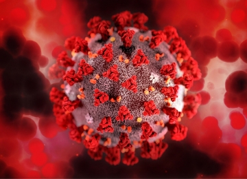 Mutação da variante delta do novo coronavírus é detectada em Israel