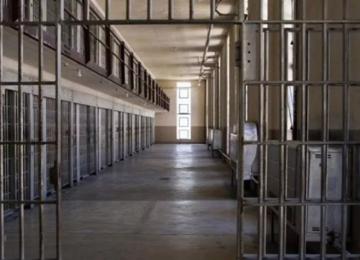 LEI DAS SAIDINHAS NO BRASIL: UM DEBATE NECESSÁRIO