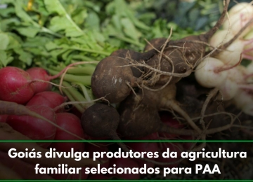 Goiás divulga produtores da agricultura familiar selecionados para PAA