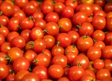 O império vermelho: como o tomate transformou a sociedade e o mundo