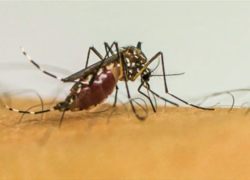 Rio Verde realiza nova ação de combate à dengue no bairro Gameleira neste sábado (7)