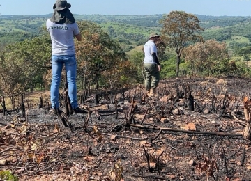 Fiscalização registra recorde de desmatamentos na 2ª semana em dezembro em Goiás