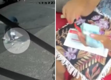 Secretária encontra R$ 1,8 mil perdido por gari e devolve valor em Rio Verde