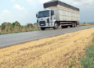 Agrodefesa orienta produtores e transportadores sobre transporte adequado de grãos de soja
