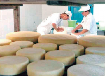Produção artesanal de queijos deve ser regularizada em Goiás