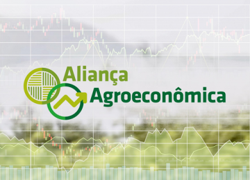 Aliança Agroecônomica lança segundo relatório com dados econômicos e produtivos do Centro-Oeste