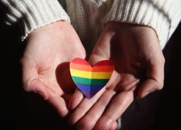 DPE e Seds firmam cooperação para potencializarem assistência jurídica à população LGBTQIA+ goiana