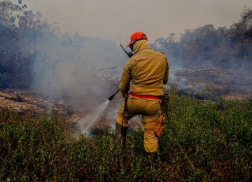 Ibama suspende compra de 20 mil retardantes de fogo após ação popular em Cavalcante (GO)
