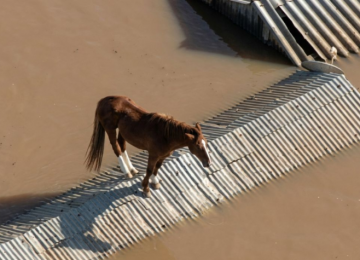 El Niño deve voltar no segundo semestre e acende alerta para chuvas intensas no RS