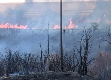 Enel Goiás alerta para risco de queimadas próximo à rede elétrica