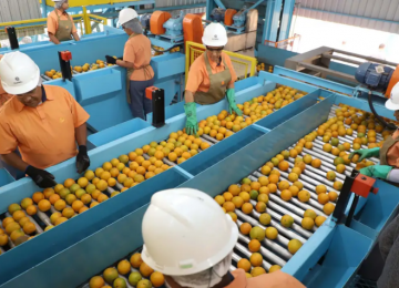 EUA impõem tarifa de 50% a produtos brasileiros, mas deixam quase 700 itens de fora; confira a lista