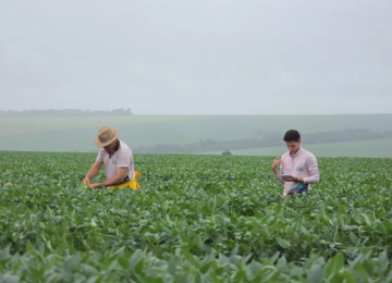 Expedição Safra aponta leve queda na produtividade da soja em Goiás