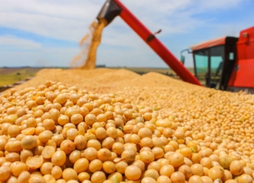 Ministério Público recomenda que exportação in natura de grãos seja tributada em Goiás