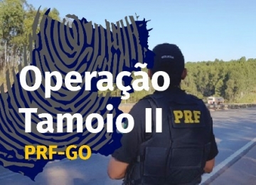 Goiás tem 33 detidos durante 06 dias de Operação da PRF no estado