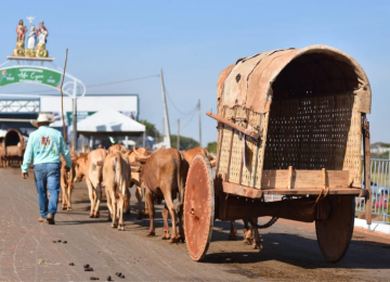 Desfile de carros de boi reúne milhares de fiéis no 7º dia da Romaria do Divino Pai Eterno, em Trindade