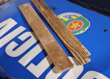 Mulher agride policiais com tábuas após destruir caminhonete