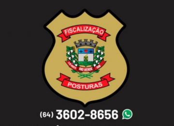 Perturbação de sossego agora pode ser denunciado em novos canais de atendimento