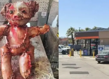 Ursinho com pele humana causa pânico em loja de conveniência na Califórnia