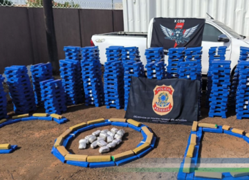 COD intercepta 1,5 tonelada de maconha e dá prejuízo de R$ 3 milhões ao tráfico
