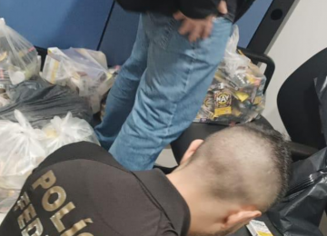 GCM e Vigilância Sanitária apreendem grande quantidade de produtos contrabandeados