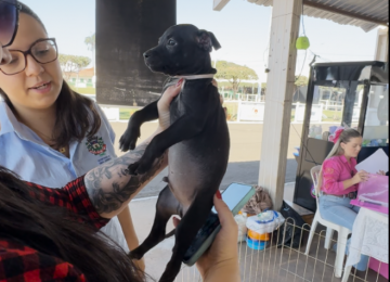 Feira de adoção na Expo Rio Verde disponibiliza cães vacinados, vermifugados e com vale-castração