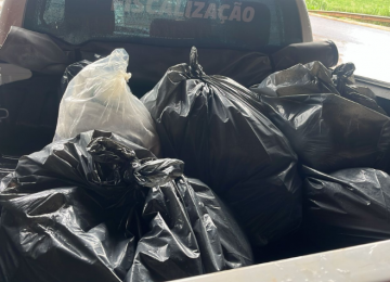 Fiscalização do Procon apreende alimentos impróprios em delivery de comida japonesa em Rio Verde