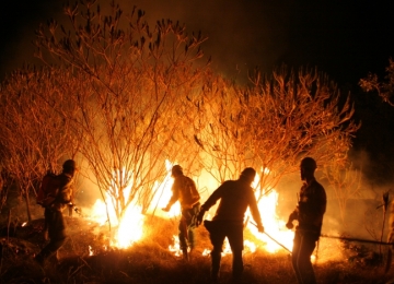 Fogo vem sendo utilizado para evitar incêndios no Cerrado e no Pantanal