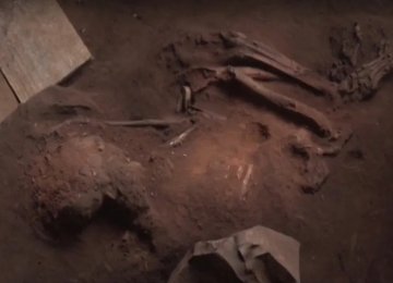 Fóssil de possíveis primeiros habitantes do cerrado é encontrado em Serranópolis