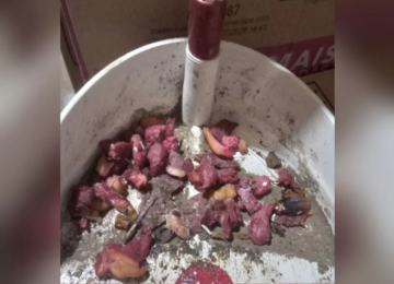 Gerente é preso após envenenamento que matou gatos em supermercado de Mineiros