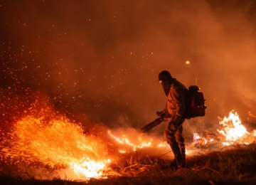 Goiás decreta emergência ambiental e proíbe uso do fogo em áreas de vegetação até outubro