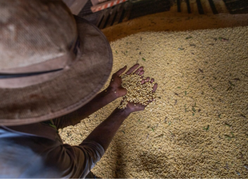 Goiás fecha 2025 com superávit de mais de US$ 8 bilhões na balança comercial