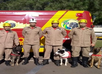 Governo de Goiás envia bombeiros militares para atuarem em Pernambuco