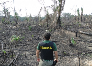 Fim do Fundo Amazônia pode afetar fiscalização contra o desmatamento