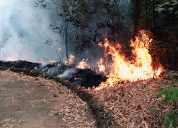Polícia Civil indicia suposto causador de incêndio em APP de Rio Verde