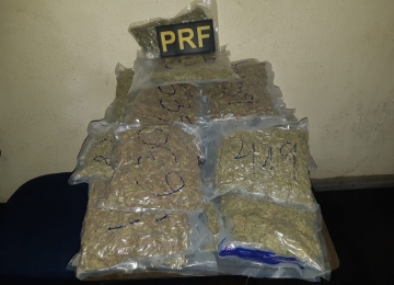 PRF apreende em Rio Verde droga avaliada em 800 mil reais