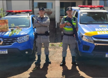 Polícia Militar apreende pés de maconha em Quirinópolis