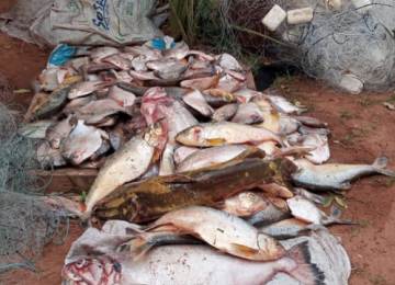Operação investiga quadrilha de comércio ilegal de pescado
