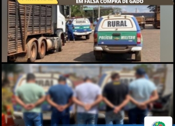 Batalhão Rural prende quadrilha que daria golpe de falsa compra de gado em Rio Verde