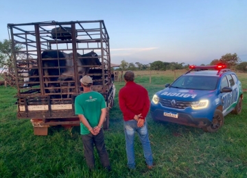 Caseiro furta e vende gado para vizinho em Cachoeira Alta