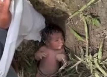 Recém-nascida é encontrada abandonada em área de pasto após choro chamar atenção de moradores