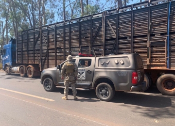 COD e BPM RURAL apreende carga de gado avaliada em R$ 500 MIL no Sudoeste goiano
