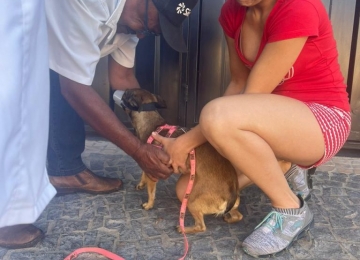 Vigilância de Rio Verde alerta para cuidados com a Leishmaniose Canina