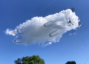 Perfil do Instagram viraliza ao revelar 'bichos' escondidos nas nuvens
