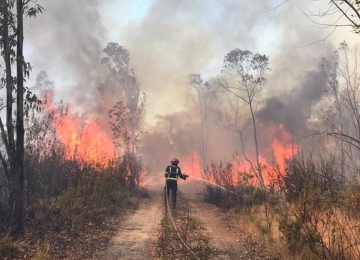 Focos de incêndios florestais em parques caem 80% em Goiás, diz Semad