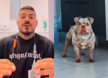 Influenciador descobre que perdeu dedo do pé após cachorro comer enquanto ele dormia