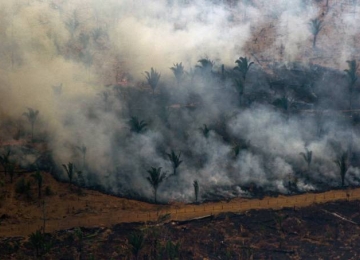 Governo proíbe queimadas em todo o país por 60 dias