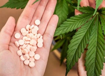 Medicamentos à base de Cannabis podem demorar a chegar às farmácias goianas