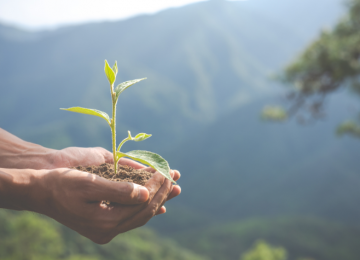 CELEBRANDO O DIA MUNDIAL DO MEIO AMBIENTE: UM CHAMADO À AÇÃO NO BRASIL